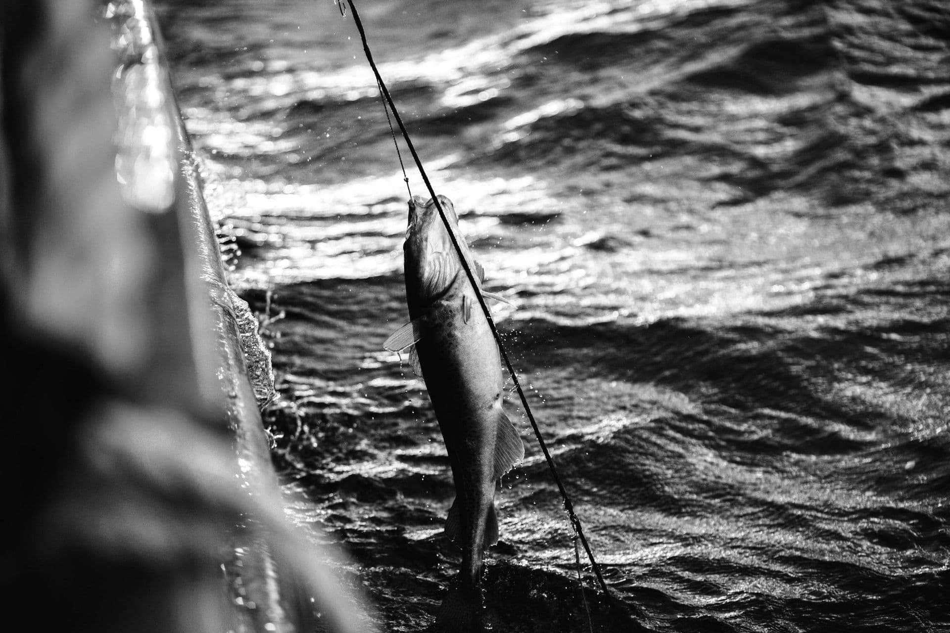 Fishing